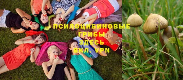 дурь Алексеевка