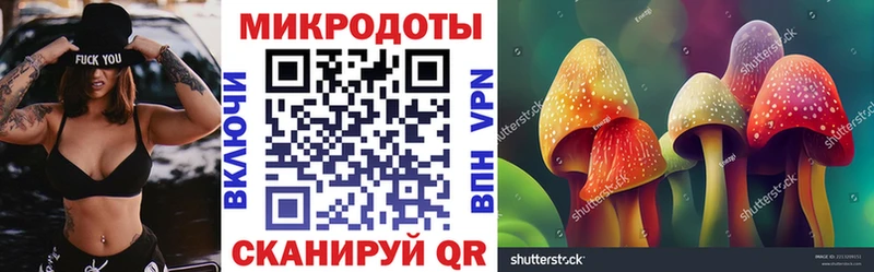 где купить   Лаишево  Псилоцибиновые грибы мицелий 