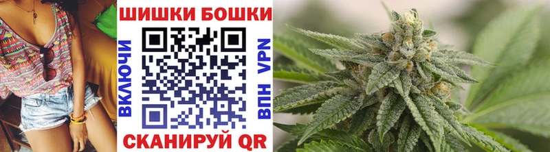 купить   Лаишево  Каннабис семена 
